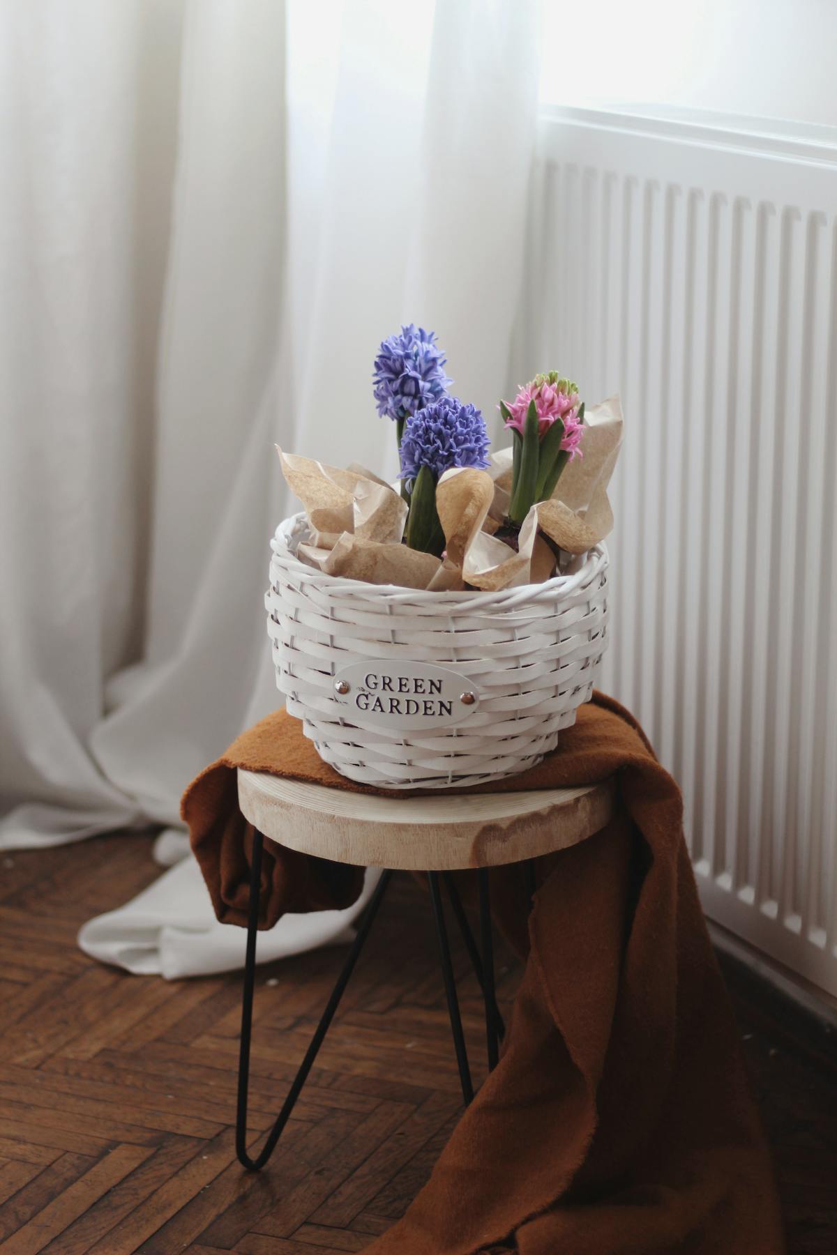 Colecciones de mimbre y flor seca
